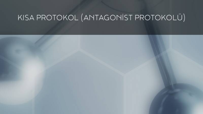 Tüp Bebek Tedavisinde Kısa Protokol (Antagonist Protokolü)