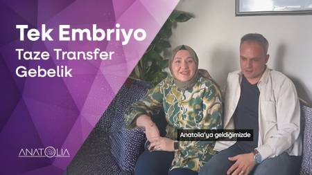 Tek Taze Embriyo Transferiyle Gebelik