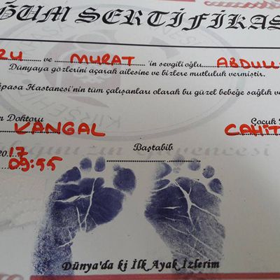 Tüp Bebek Anatolia Tüp Bebek