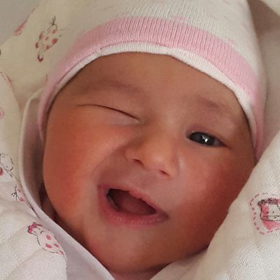 Tüp Bebek Anatolia Tüp Bebek