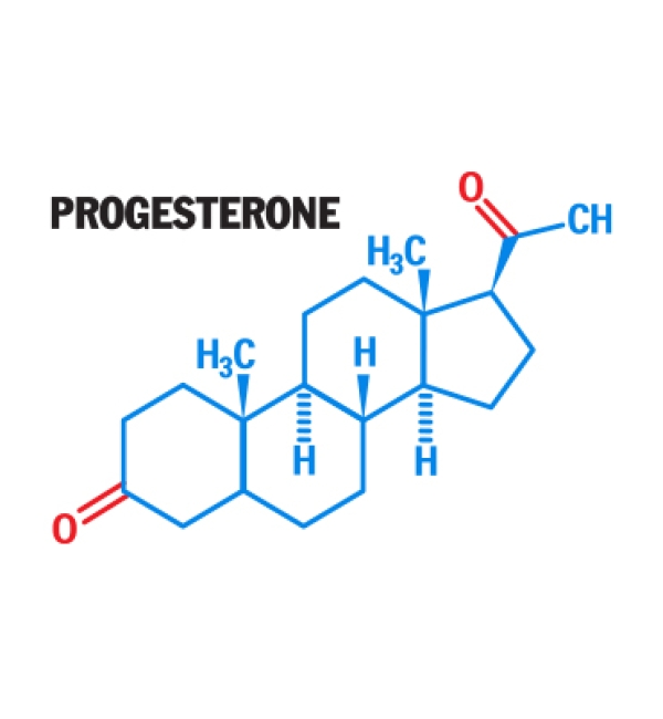 PROGESTERON HORMONU