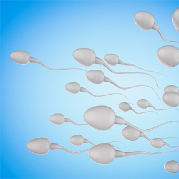 sperm şekil bozuklukları ve tedavisi