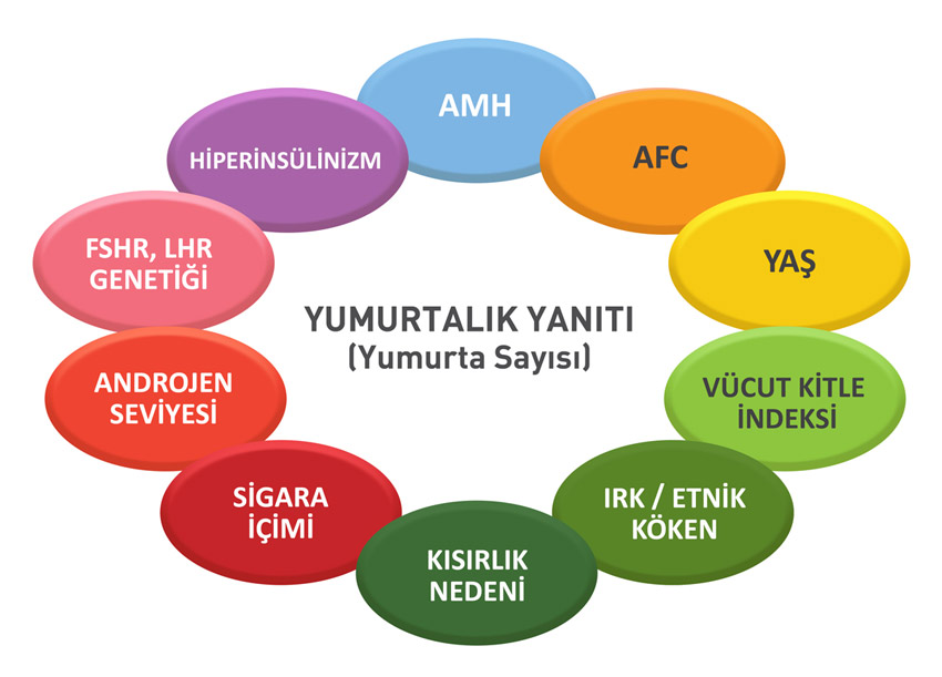 Yumurtalıkların Uyarılması