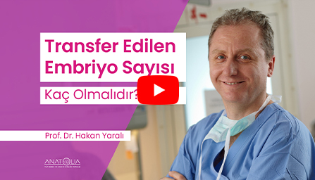 Nakledilecek Embriyo Sayısı Neye Göre Belirleniyor?