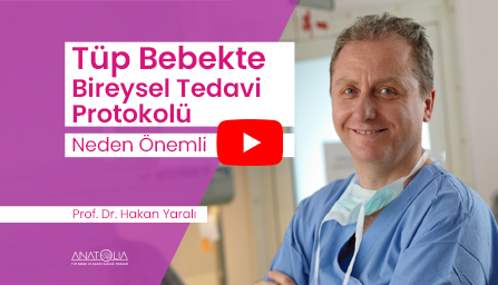 Tüp bebekte bireysel tedavi