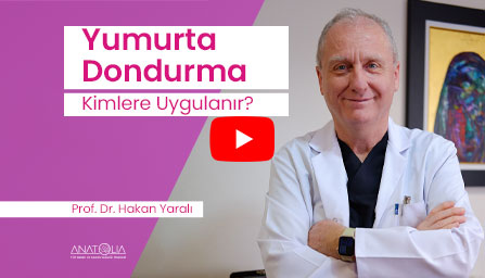 yumurta dondurma kimler için uygun